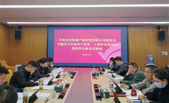 宜发展产城公司党委召开党委（扩大）会专题传达学习党的二十届四中全会精神