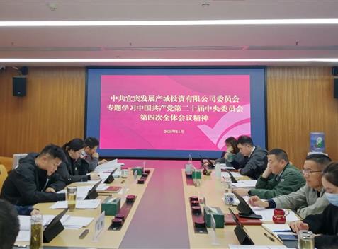 宜发展产城公司党委召开党委（扩大）会专题传达学习党的二十届四中全会精神