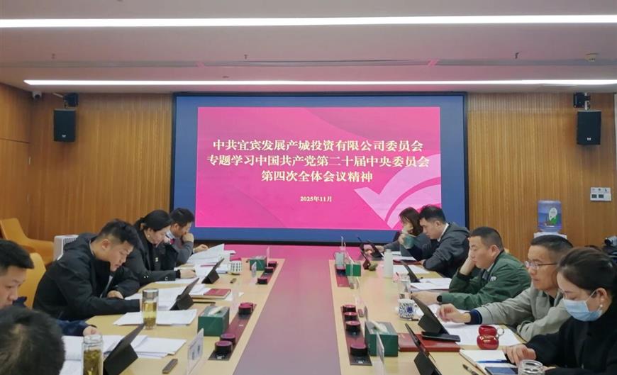 宜发展产城公司党委召开党委（扩大）会专题传达学习党的二十届四中全会精神
