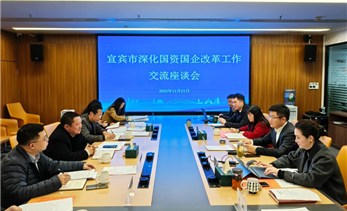 实干笃行谋发展·蓄势赋能开新篇丨市人大常委会调研宜发展产城公司国资国企改革工作