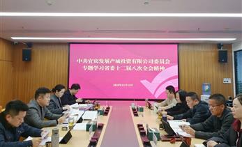 宜发展产城公司党委召开党委（扩大）会专题传达学习省委十二届八次全会精神