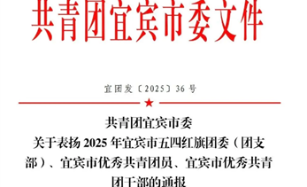 “青”榜样丨他们，荣获市级荣誉称号