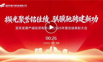 宜发展产城公司开展2025年度总结表彰大会