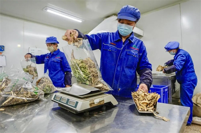 4a35c9a2-4819-4fc1-b865-3c9952d98ceb 4a35c9a2-4819-4fc1-b865-3c9952d98ceb