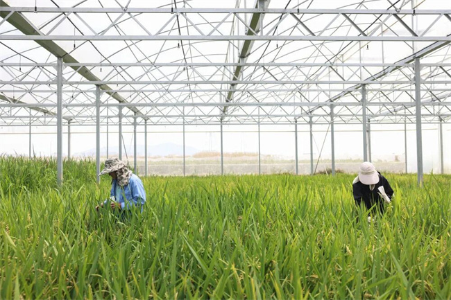 920863f0-0ee8-45b3-adf4-10bbf248a1ca 920863f0-0ee8-45b3-adf4-10bbf248a1ca