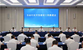 全市片区开发建设工作推进会召开