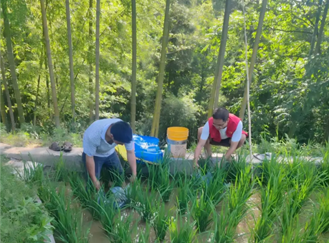 产城星光·榜样力量丨一位少数民族驻村干部的“变身记”