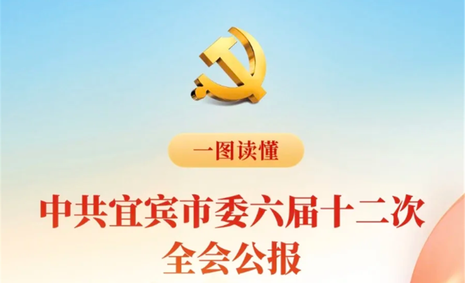 一图读懂 | 中共宜宾市委六届十二次全会公报