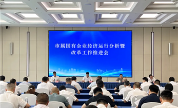 市属国有企业经济运行分析暨改革工作推进会召开